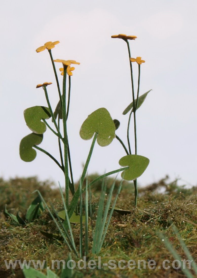 Large Marsh Marigold