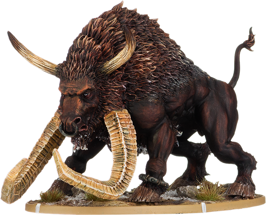 Oso, Aurogg