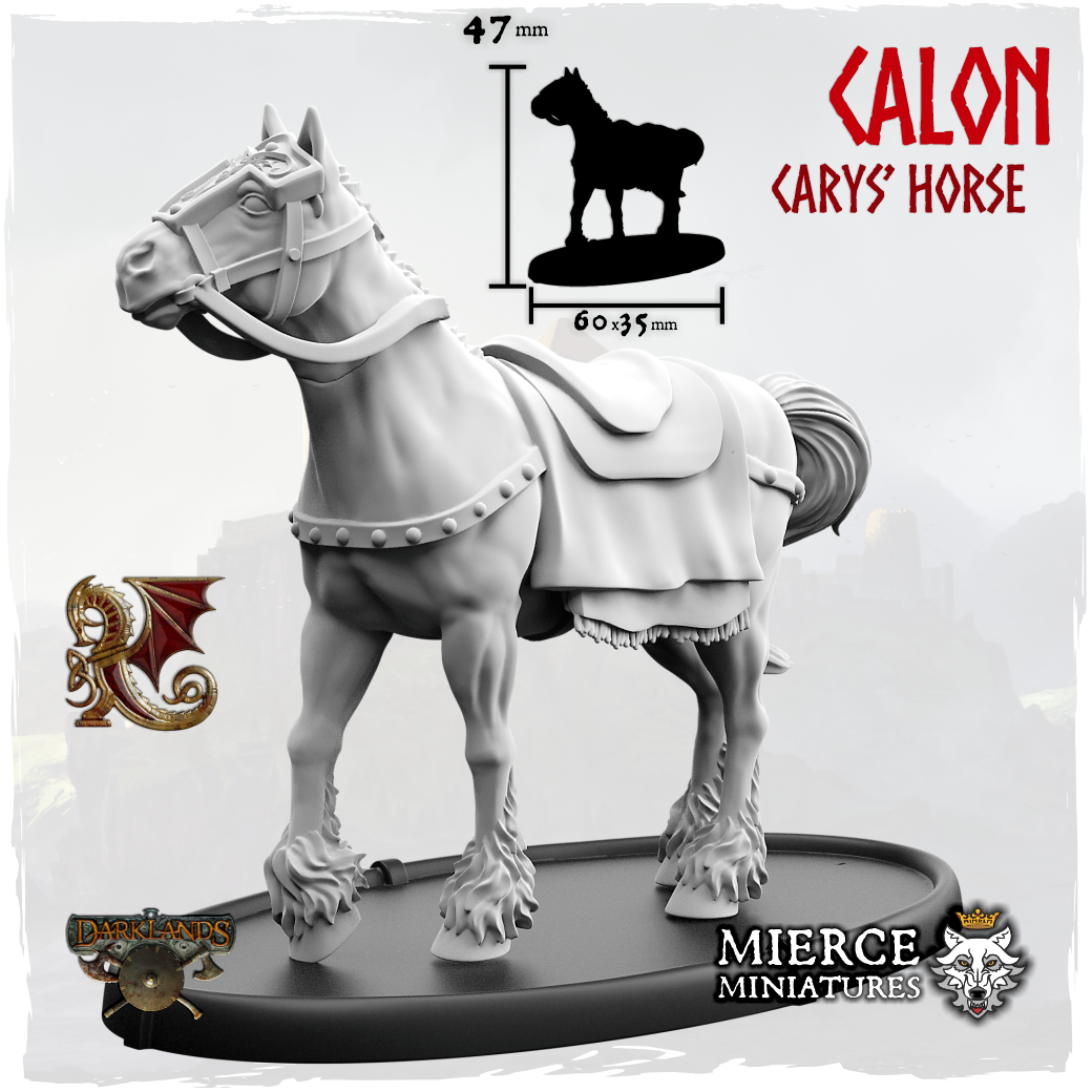 Calon, Carys' Horse