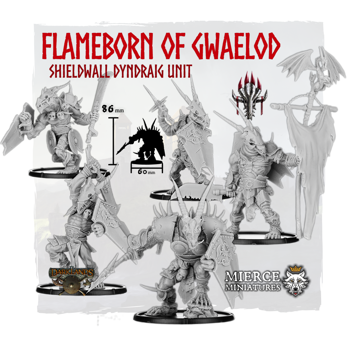 Flameborn of Gwaelod, Shieldwall Dyndraig Unit