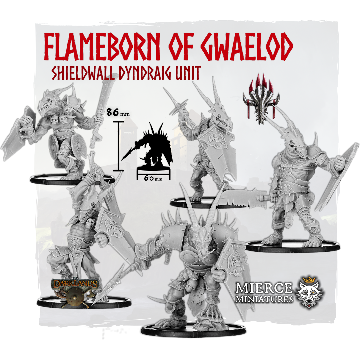Flameborn of Gwaelod, Shieldwall Dyndraig Unit