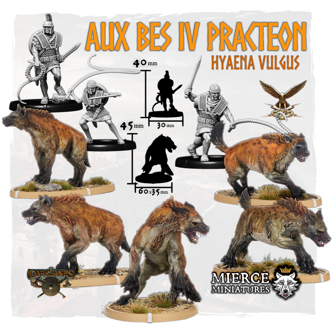 Aux Bes IV Practeon, Hyaena Vulgus