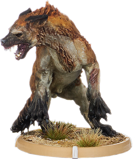Duran, Hyaena