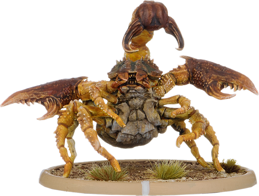 Pravo, Skorpion Minor