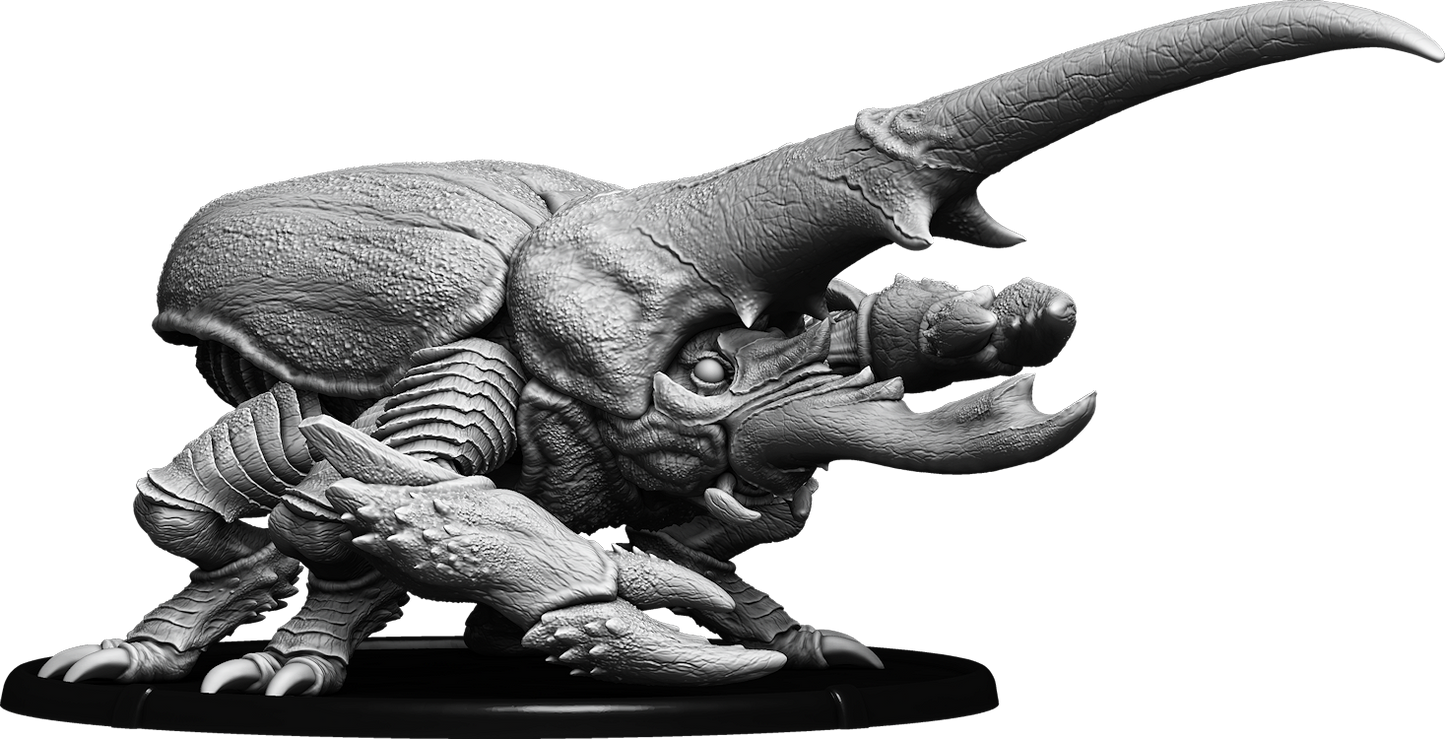 Scethæn, Crag Beetle