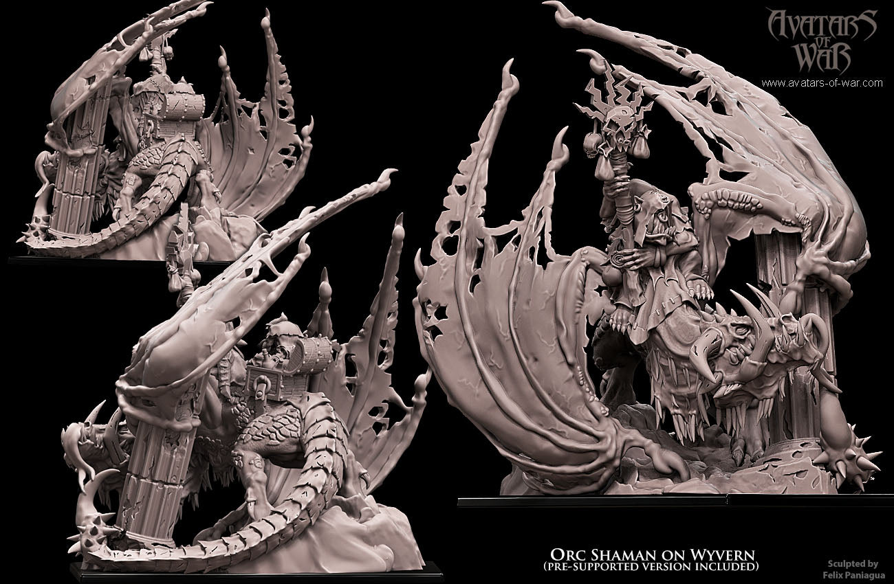 Orc Shaman on Wyvern