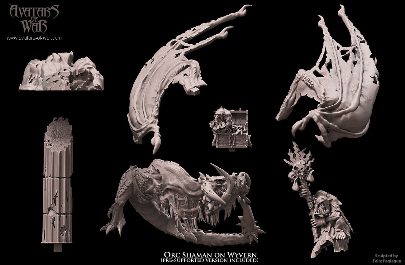 Orc Shaman on Wyvern