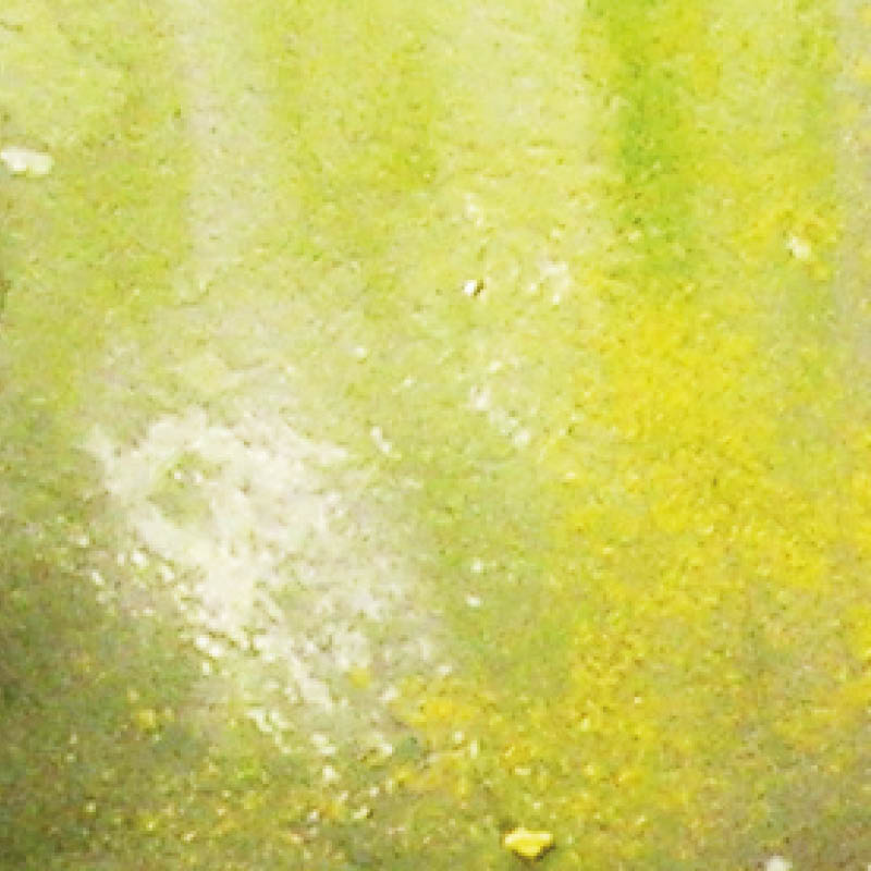Vallejo Weathering FX Slimy Grime Light