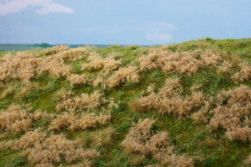 Model Scene - F521 - Fallow Field Grass Mat in Spring (18x28cm)