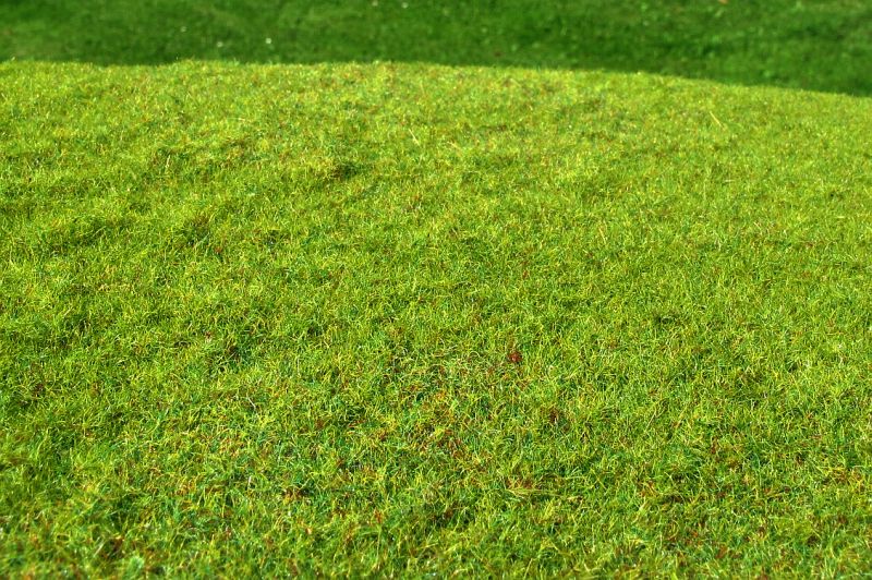 Model Scene - F001 - Cut Meadow Grass Mat in Spring (18x28cm)