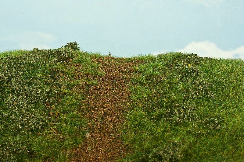 Model Scene - F542 - Grass Mat with Dirt Track in Early Summer (18x28cm)