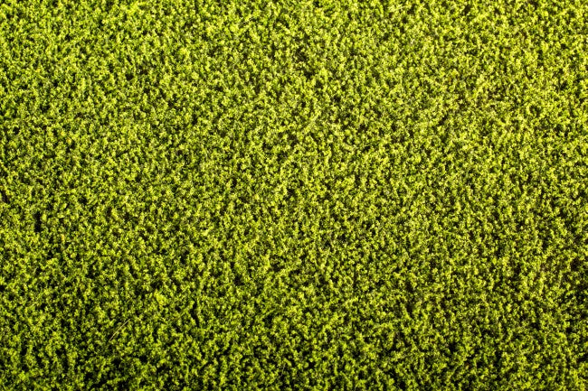 Model Scene - F440 - Alfalfa Field Mat