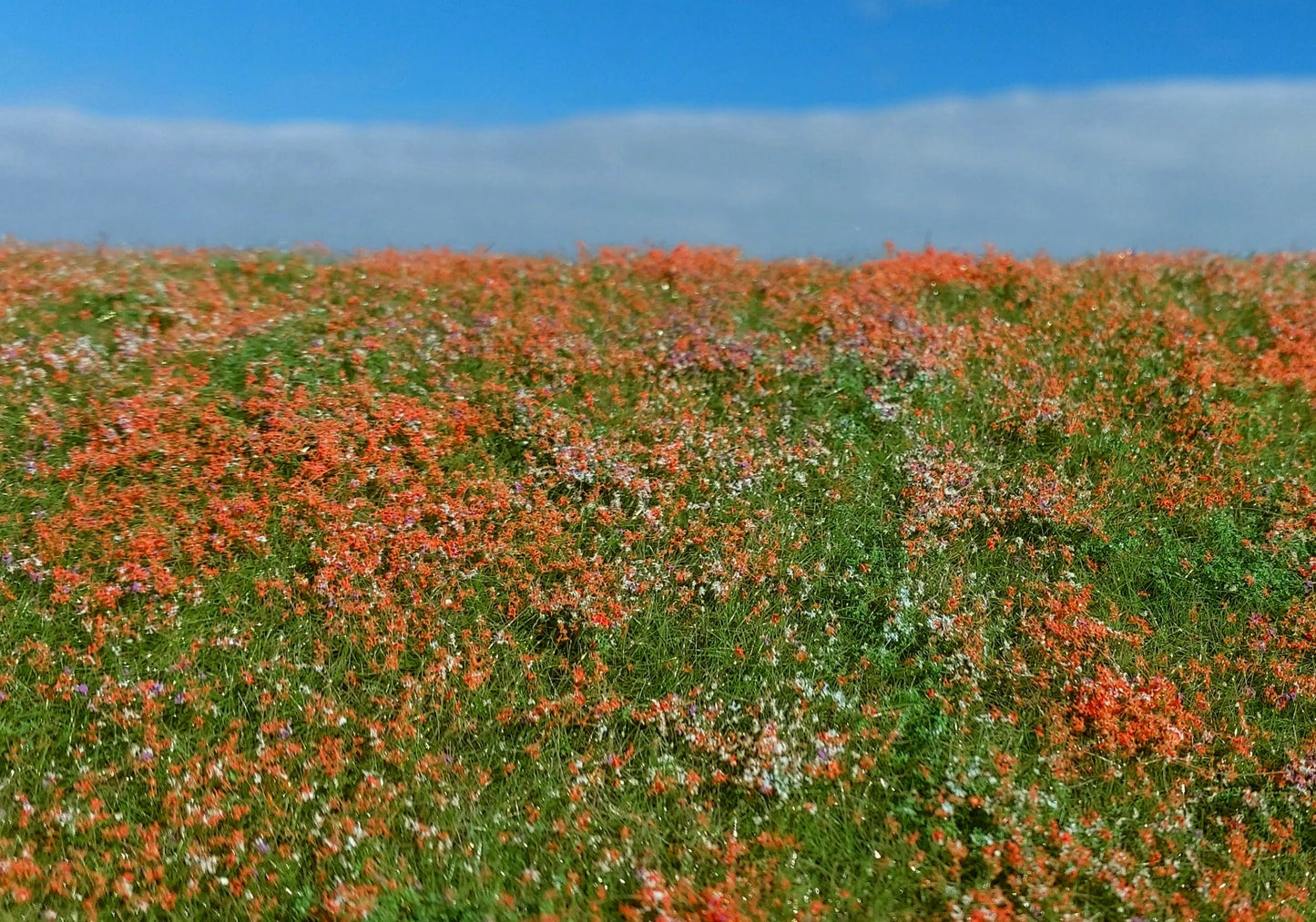 Model Scene - F565 - Blooming Meadow with Poppies Grass Mat (18x28cm)