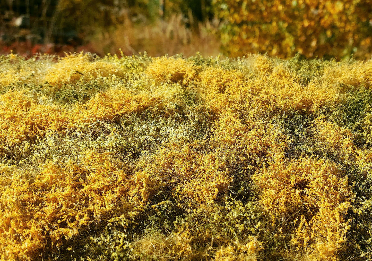 Model Scene - F564 - Blooming Meadow Grass Mat in Autumn (18x28cm)