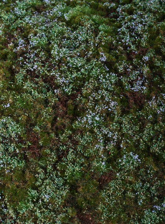 Forest Base Mat with Blueberries (18x28cm)