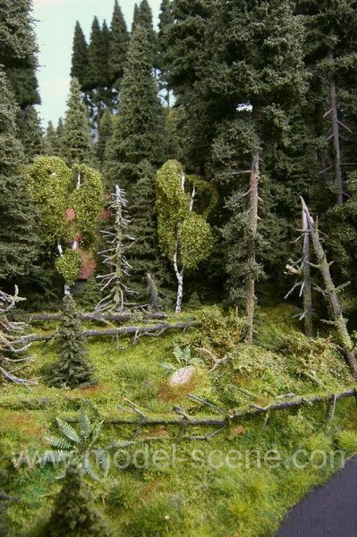Spring Forest Diorama (18x28cm)