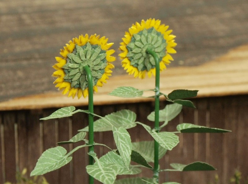 Large Sunflowers