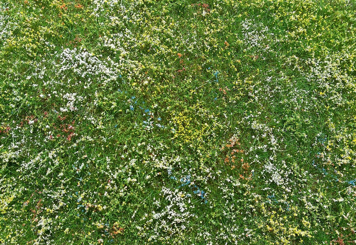 Blooming Meadow Grass Mat in Early Summer (18x28cm)