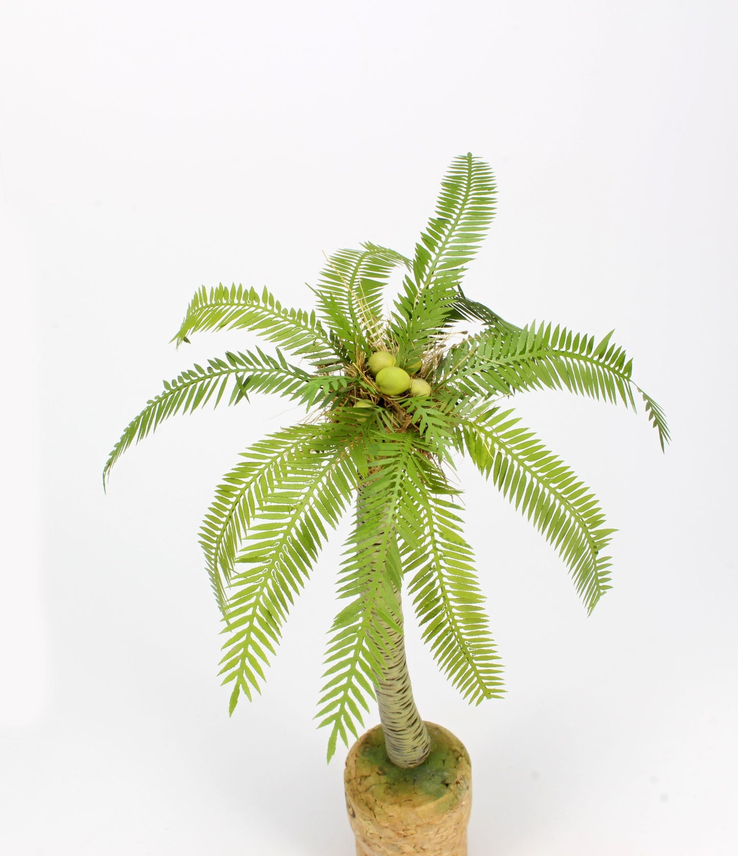 Medium Palm Leaves