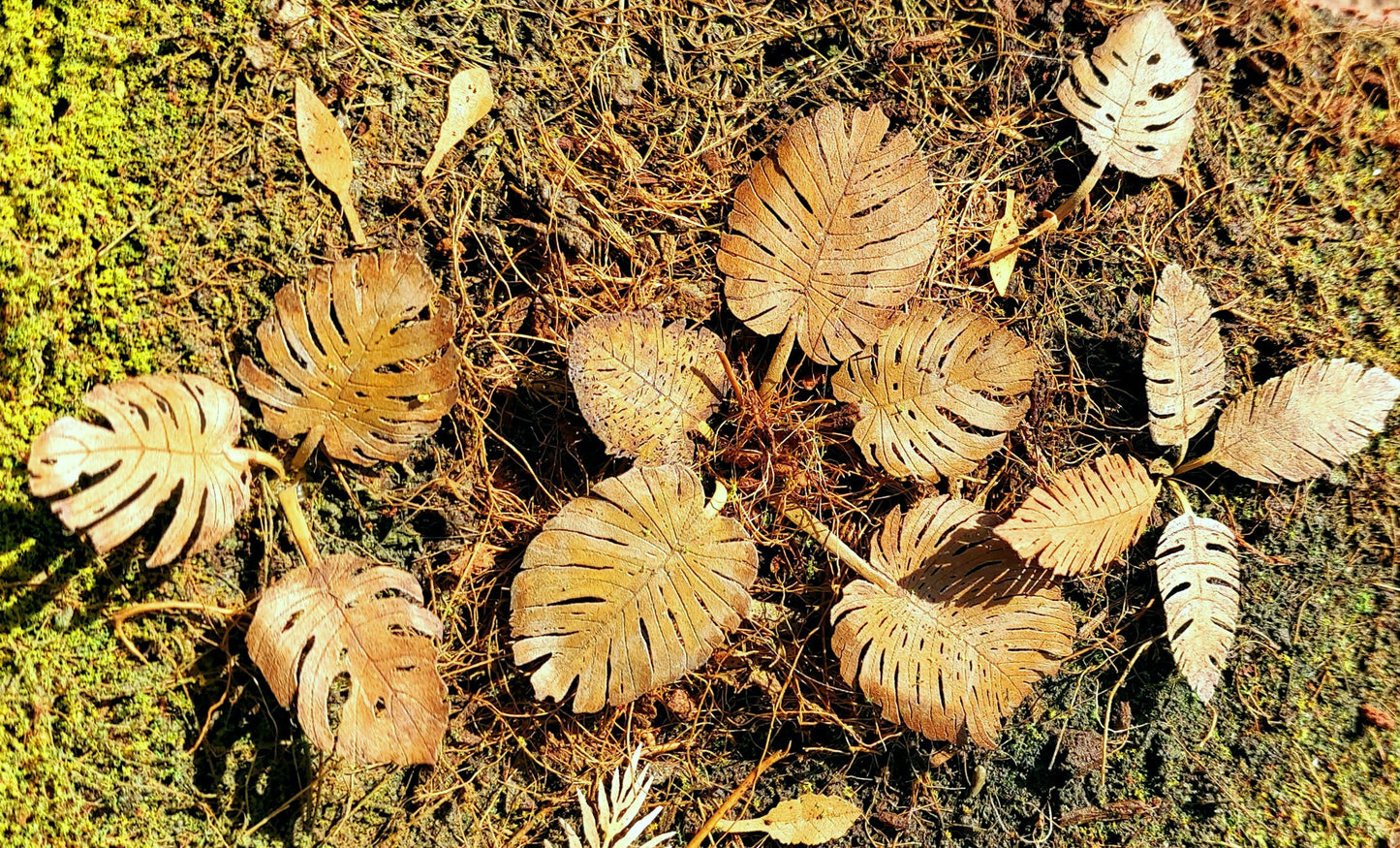 Dry Low Jungle Vegetation