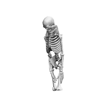 Sigebald - Fane Right Skeleton