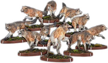 Sweorcan's Pack, Wulf Unit (10x warriors) [half price]