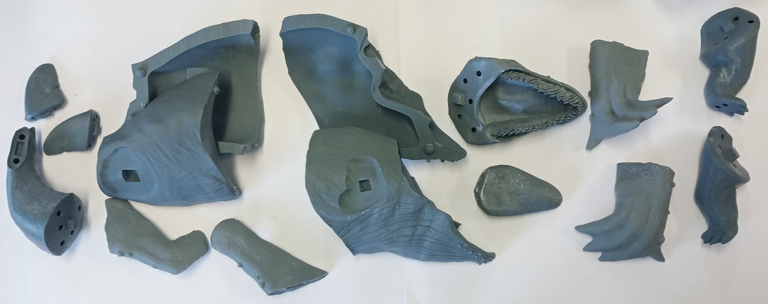 Backlogs and Backwhales