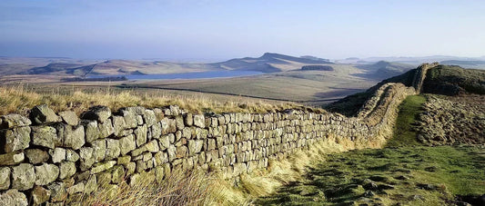 The Wall