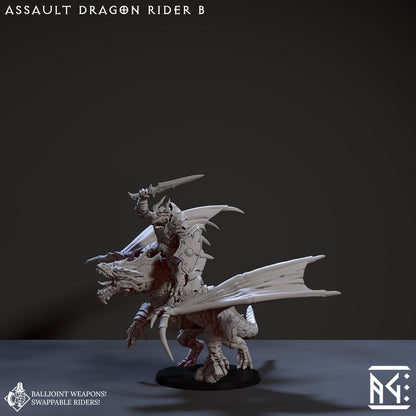 Assault Dragon Rider B