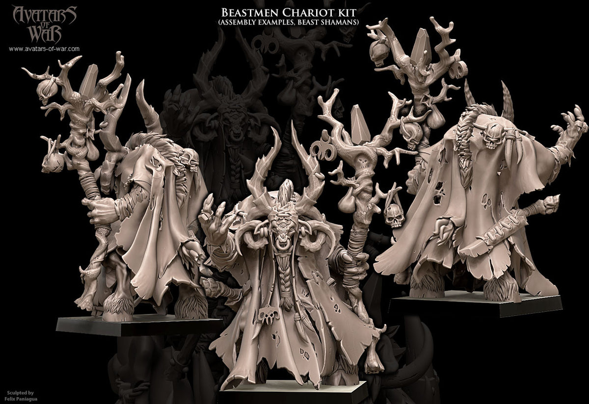 Beastmen Shaman II