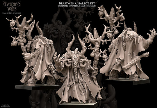 Beastmen Shaman II