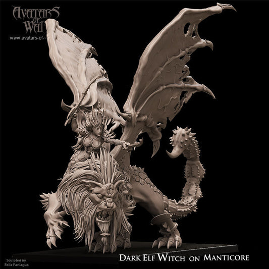 Dark Elf Witch on Manticore