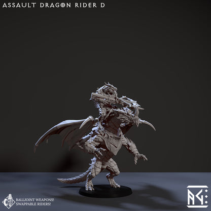 Assault Dragon Rider D