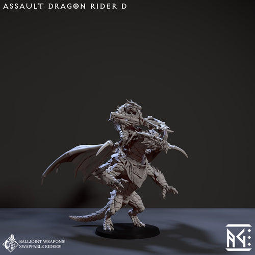 Assault Dragon Rider D
