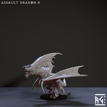 Assault Dragon B