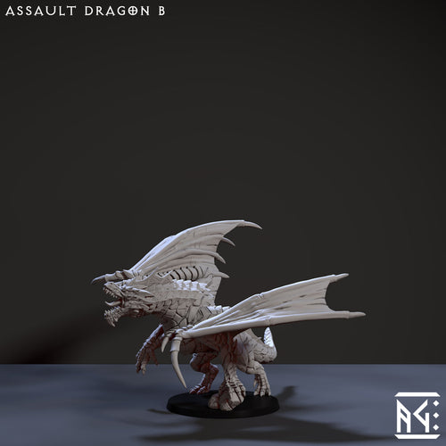 Assault Dragon B