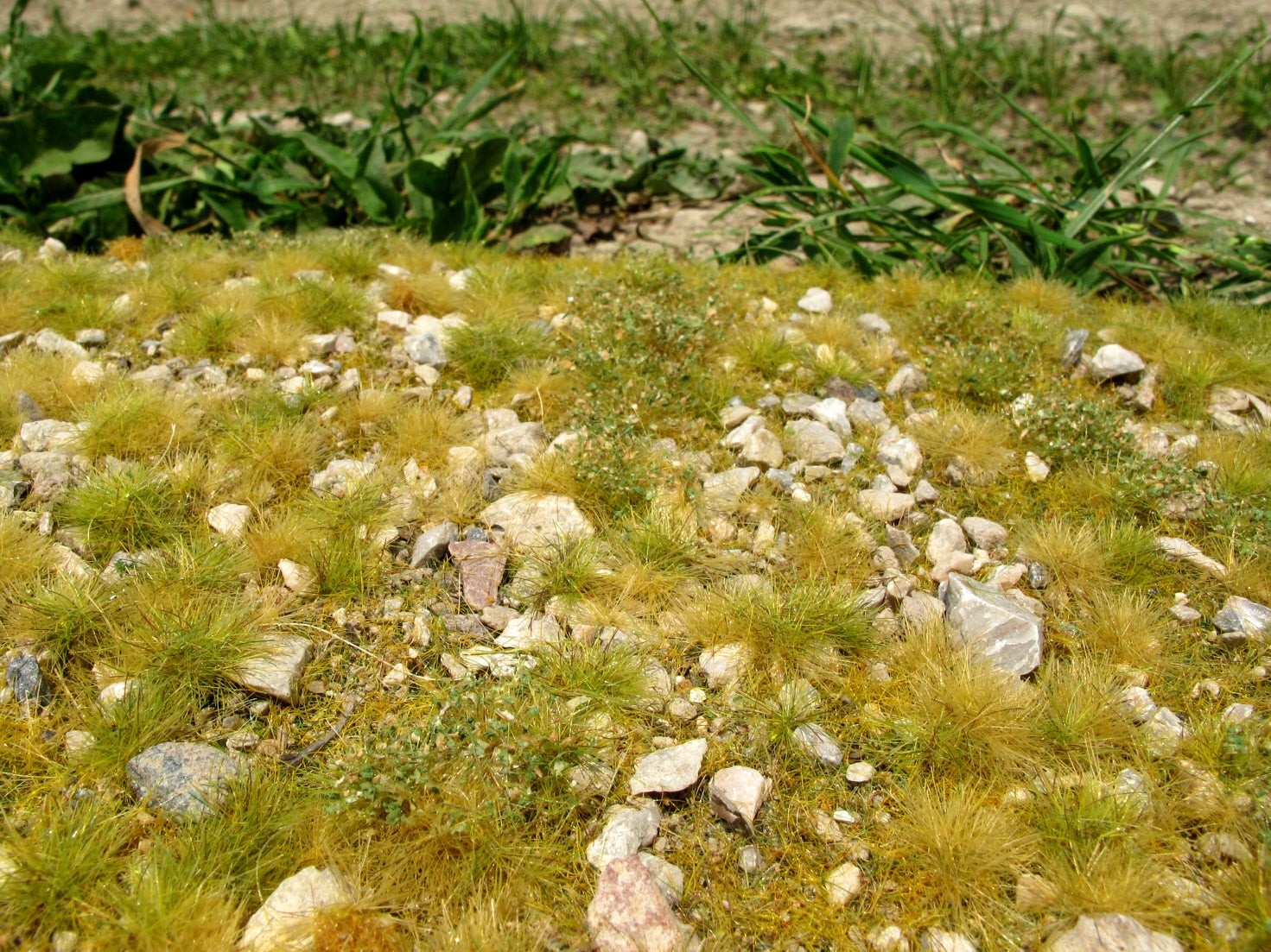 Model Scene - F723-S - Grass Mat with Large Stones in Late Summer (13x17cm)