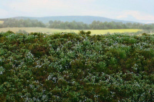 Model Scene - F620-S - Forest Base Mat with Blueberries (13x17cm)