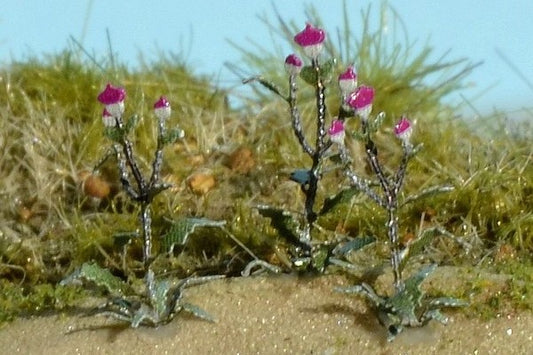 Model Scene - VG4-121 - Medium Thistle