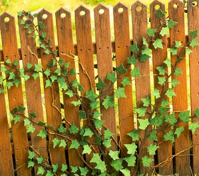Model Scene - VG4-029 - Medium Ivy
