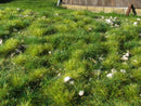 Model Scene - F712-S - Grass Mat with Small Stones in Early Summer (13x17cm)