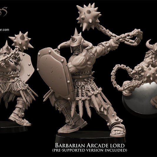 Barbarian Arcade Lord