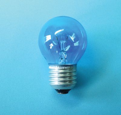 Expo Tools 60w Screw Cap Daylight Blub
