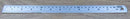 Expo Tools Steel Ruler (12 inch)