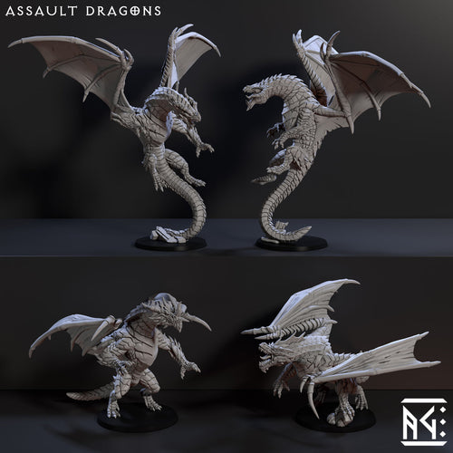Assault Dragons (4x warriors)