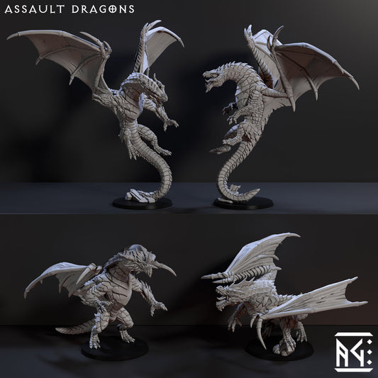 Assault Dragons (4x warriors)