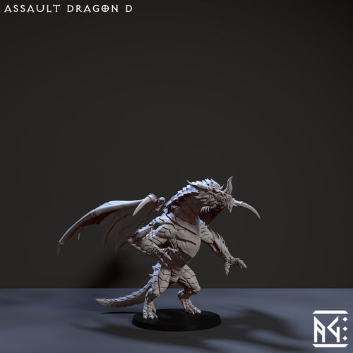Assault Dragon D