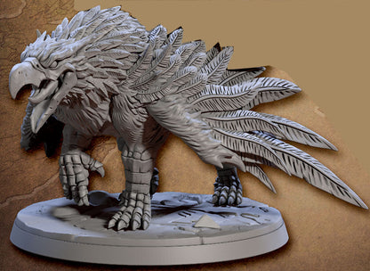 Gryphon D