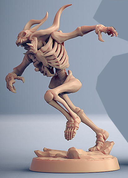 Skeleton A