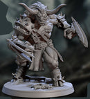 Chaos Minoc D